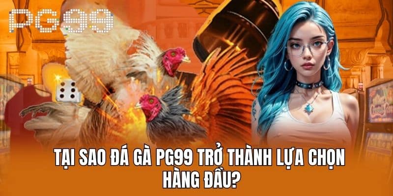 Lý do nên tham gia đá gà PG99