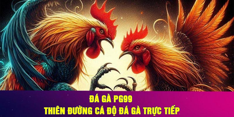 Tìm hiểu về đá gà PG99