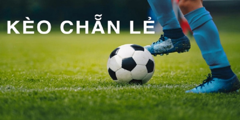 Kinh nghiệm gia tăng thêm tỷ lệ thắng siêu lớn.