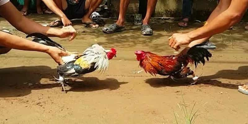 Cách giữ an toàn cho các vị trí tử điểm