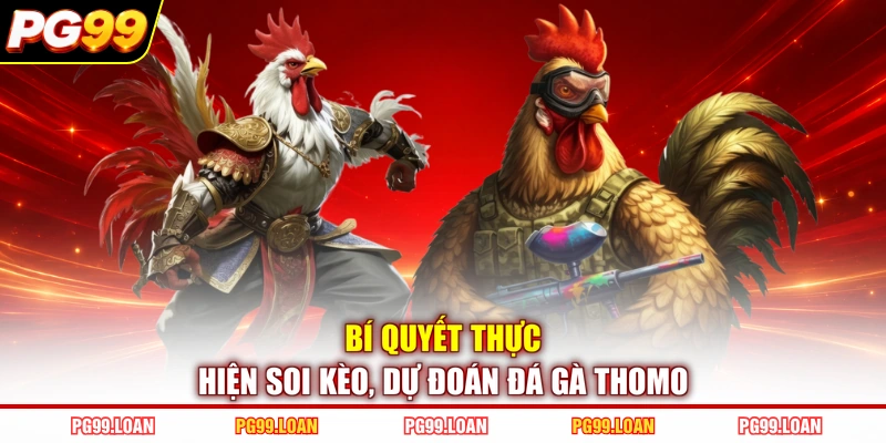 Bí quyết thực hiện soi kèo, dự đoán đá gà Thomo