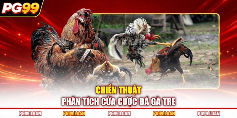 Chiến thuật phân tích cửa cược đá gà tre