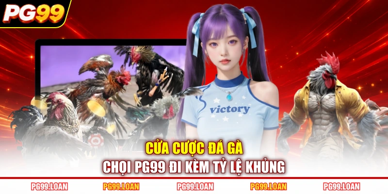 Cửa cược đá gà chọi PG99 đi kèm tỷ lệ khủng