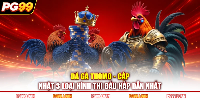 Đá Gà Thomo - Cập Nhật 3 Loại Hình Thi Đấu Hấp Dẫn Nhất