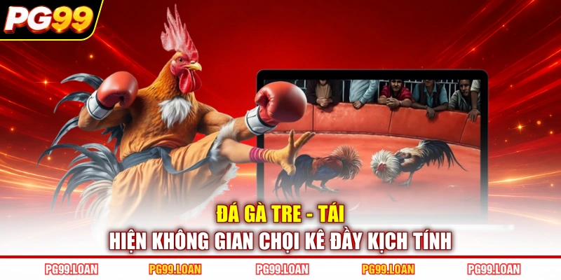 Đá Gà Tre - Tái Hiện Không Gian Chọi Kê Đầy Kịch Tính