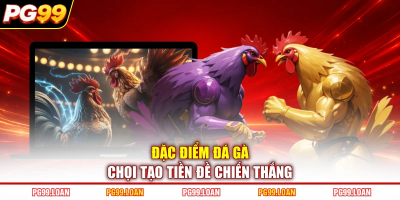 Đặc điểm đá gà chọi tạo tiền đề chiến thắng