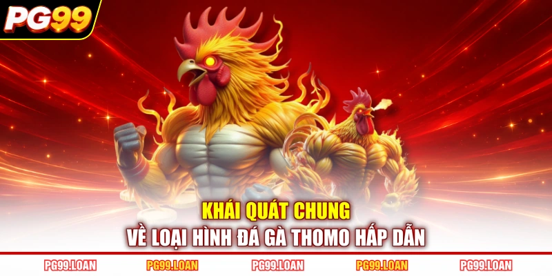 Khái quát chung về loại hình đá gà Thomo hấp dẫn