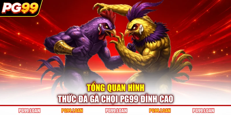 Tổng quan hình thức đá gà chọi PG99 đỉnh cao